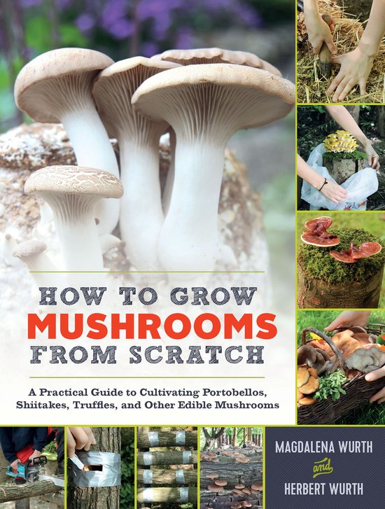 How to Grow Mushrooms from Scratch - cover
