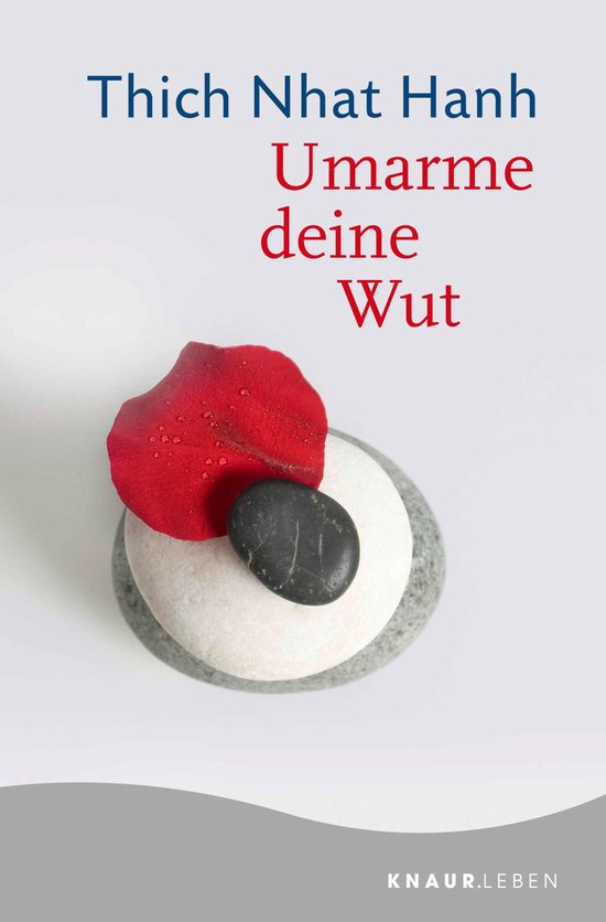 Umarme deine Wut - cover