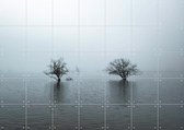 IXXI Whispering Tree Pair, Claire Droppert - 140 x 100 cm - Gratis ophangtool - Grote wanddecoratie en posters - Minimalistisch, Fotografie, Realisme
