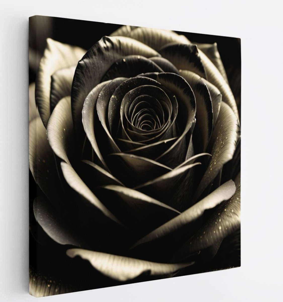 Saammp Canvas Schilderij - Elegante Zwarte Roos - Natuur - Modern - 40x40 - Foto op canvas - Wanddecoratie - Muurdecoratie Woonkamer - Kantoor Decoratie Multicolor