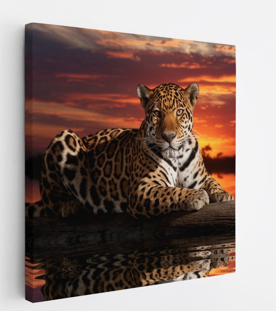Saammp Canvas Schilderij - Jaguar in zonsondergang - Natuur - Dieren - 60x60 - Foto op canvas - Wanddecoratie - Muurdecoratie Woonkamer - Slaapkamer decoratie - Canvas Print Multicolor