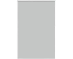 vidaXL - Rolgordijn - verduisterend - 160x230 - cm - stofbreedte - 156,6 - cm