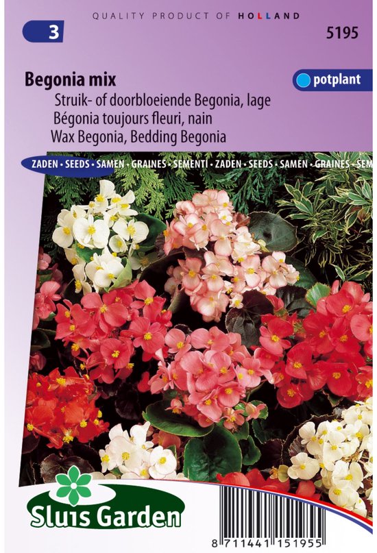 Sluis Garden Begonia Laag Gemengd