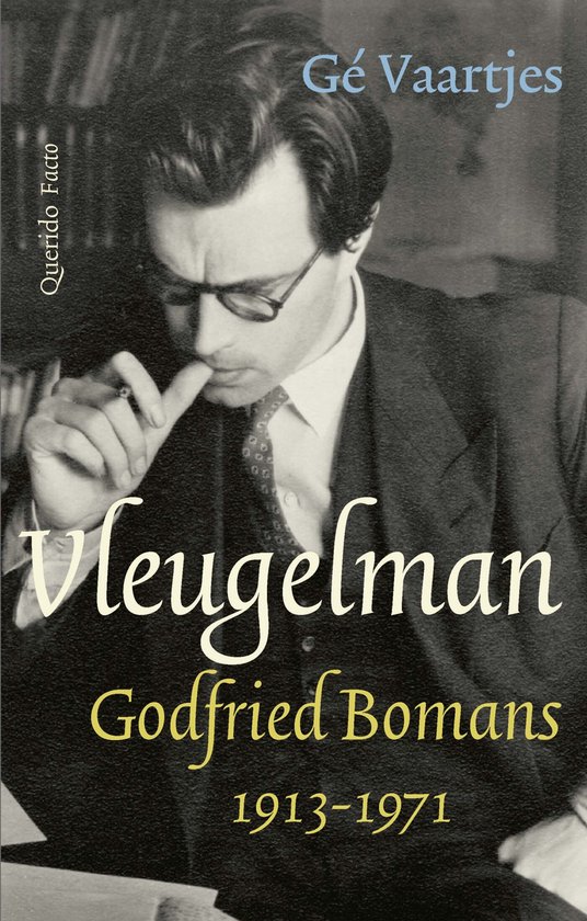 Vleugelman - cover