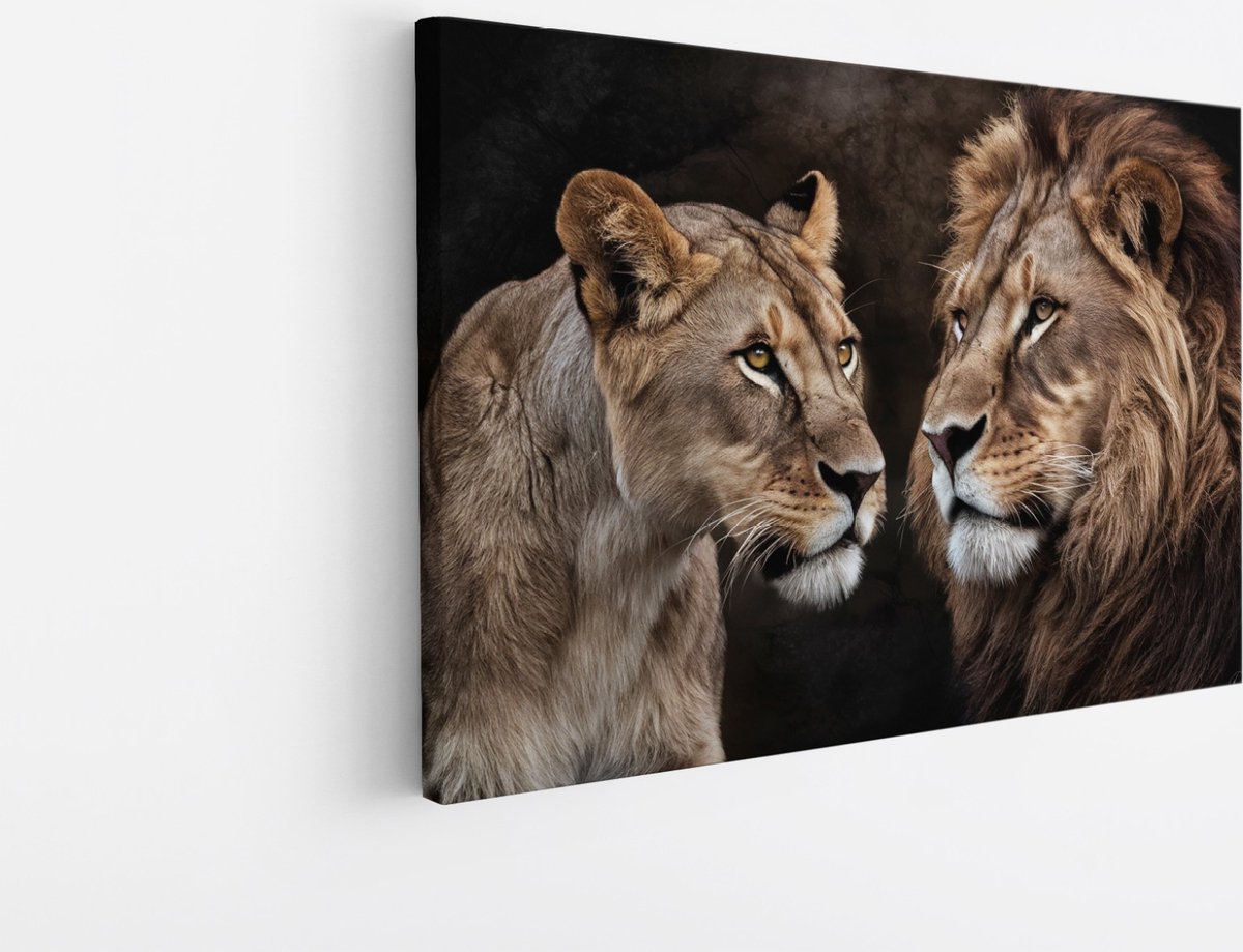 Saammp Canvas Schilderij - Leeuwen koppel - Dieren - Natuur - 70x50 - Foto op canvas - Wanddecoratie - Muurdecoratie Woonkamer - Slaapkamer decoratie - Canvas Print Multicolor