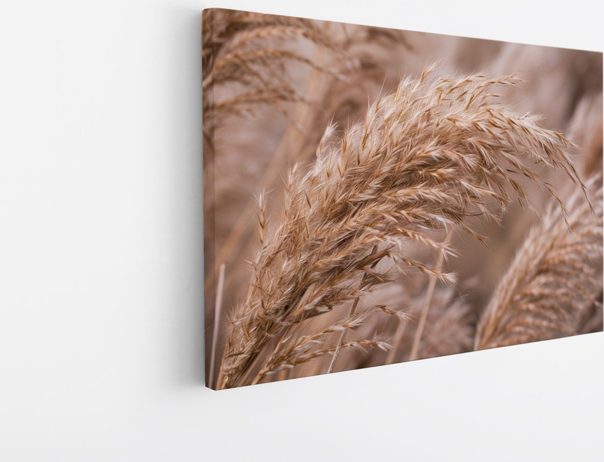 Saammp Canvas Schilderij - Pampas - Natuur - 150x100 - Foto op canvas - Wanddecoratie - Muurdecoratie Woonkamer - Kantoor Decoratie Multicolor