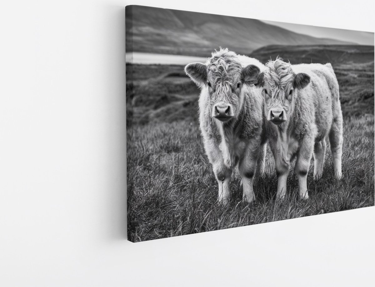 Saammp Canvas Schilderij - 2 Schotse Hooglander Koeien in Schotland - Natuur - Dieren - 150x100 - Foto op canvas - Wanddecoratie - Muurdecoratie Woonkamer - Slaapkamer decoratie - Canvas Print Multicolor