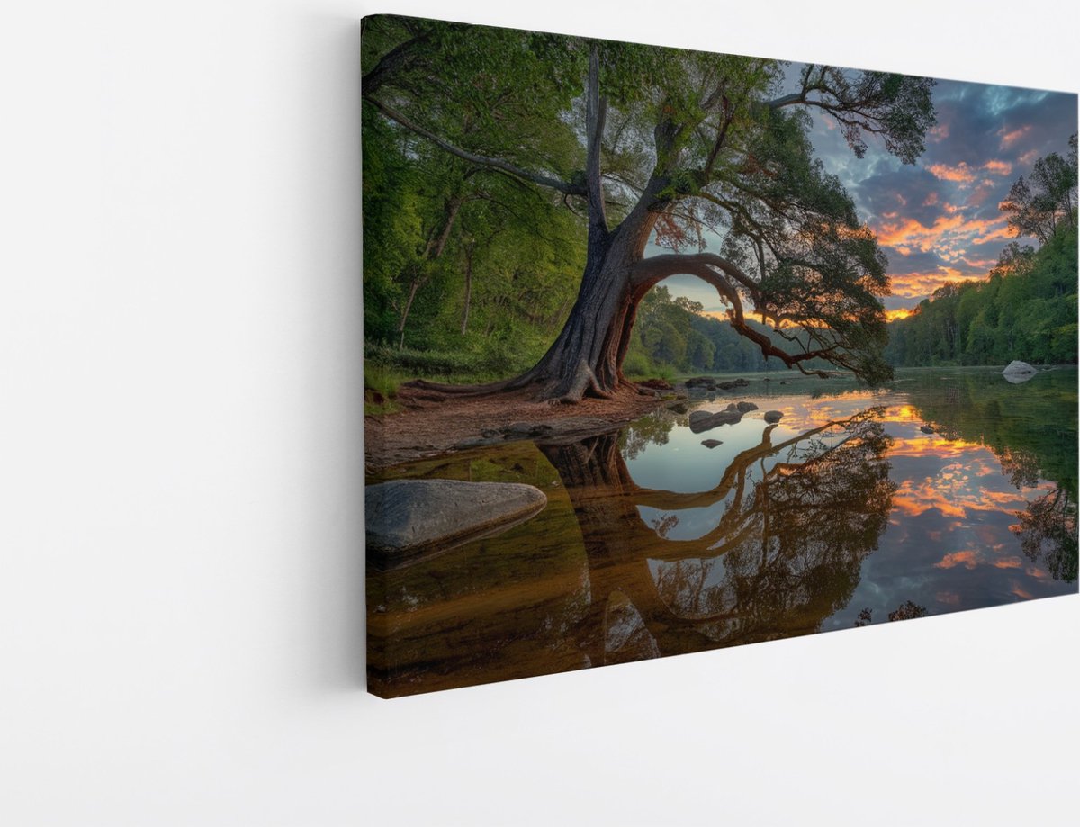 Saammp Canvas Schilderij - Scheve Boom met zonsondergang - Bloemen - Landschap - Natuur - 90x60 - Foto op canvas - Wanddecoratie - Muurdecoratie Woonkamer - Slaapkamer decoratie - Canvas Print Multicolor