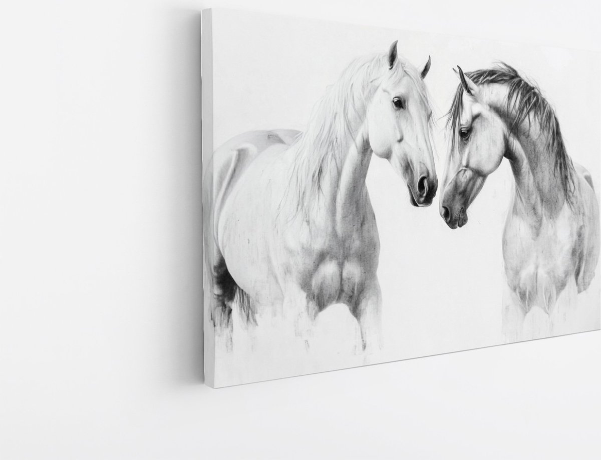 Saammp Canvas Schilderij - 2 Paarden - Kunst - Dieren - Natuur - 60x40 - Foto op canvas - Wanddecoratie - muurdecoratie Woonkamer - Slaapkamer decoratie - Canvas Print Multicolor