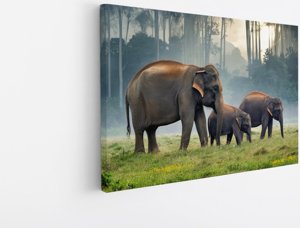 Saammp Canvas Schilderij - Olifanten Familie in thailand - Dieren - 60x40 - Foto op canvas - Wanddecoratie - muurdecoratie Woonkamer - Slaapkamer decoratie - Canvas Print Multicolor