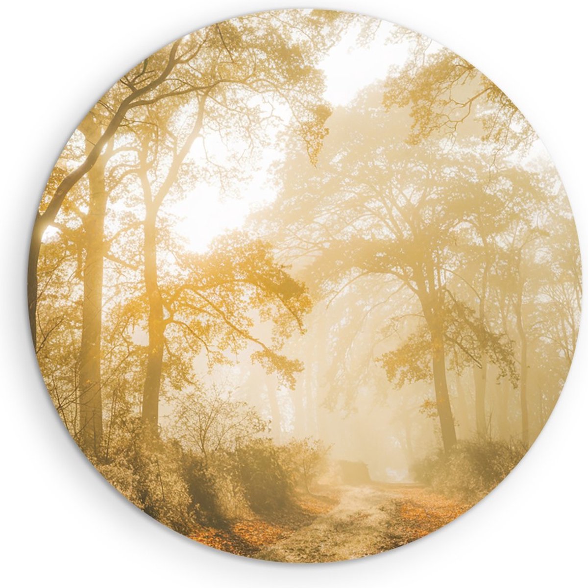Saammp Forex Muurcirkel - Lichtval tussen de Bomen - Landschap - Natuur - Ø 50 - Wandcirkel - Wanddecoratie Cirkel - Muurdecoratie Woonkamer - Slaapkamer decoratie - Rond Schilderij