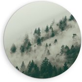 Saammp Cercle Mural Bois - Brume entre les arbres - Paysage - Nature - Ø 70 - Cercle Mural - Décoration murale Cercle - Décoration murale Salon - Décoration Chambre - Tableau Rond
