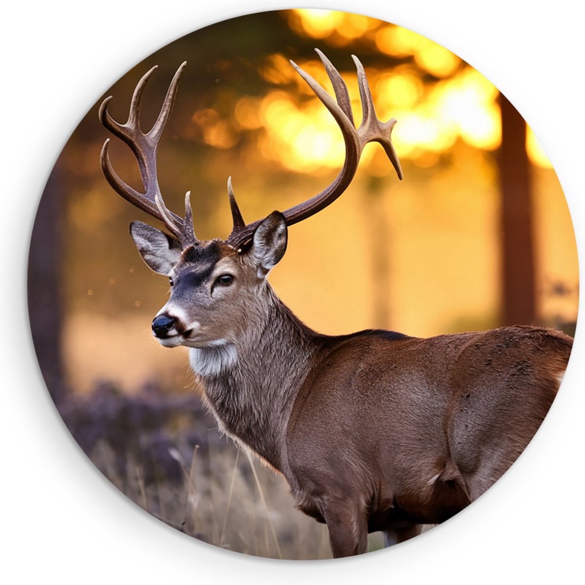 Saammp Muurcirkel Hout - Hert met groot gewei - Natuur - Dieren - Ø 50 - Wandcirkel - Wanddecoratie Cirkel - Muurdecoratie Woonkamer - Slaapkamer decoratie - Rond Schilderij