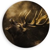 Saammp Forex Muurcirkel - Hert - burlen - Natuur - Dieren - Ø 90 - Wandcirkel - Wanddecoratie Cirkel - Muurdecoratie Woonkamer - Slaapkamer decoratie - Rond Schilderij