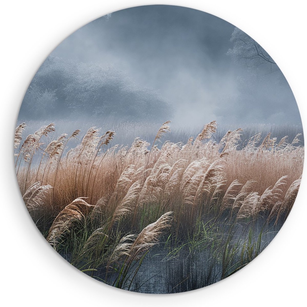 Saammp Forex Muurcirkel - Hoog gras in de mist - Zonsondergang - Landschap - Natuur - Ø 40 - Wandcirkel - Wanddecoratie Cirkel - Muurdecoratie Woonkamer - Slaapkamer decoratie - Rond Schilderij