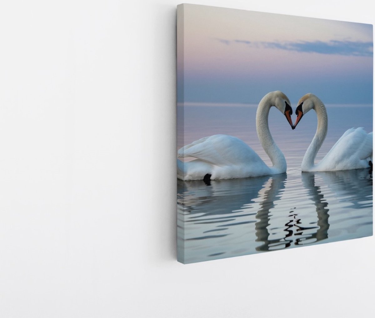 Saammp Canvas Schilderij - 2 Zwanen - Liefdevol - Natuur - Dieren - 30x30 - Foto op canvas - Wanddecoratie - Muurdecoratie Woonkamer - Slaapkamer decoratie - Canvas Print Multicolor