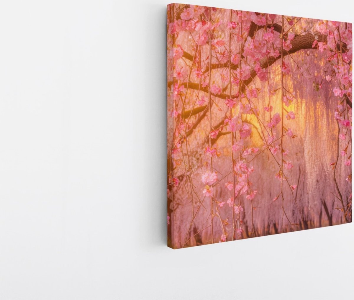 Saammp Canvas Schilderij - Roze bloesem met zonsondergang - Natuur - Landschap - 40x40 - Foto op canvas - Wanddecoratie - Muurdecoratie Woonkamer - Slaapkamer decoratie - Canvas Print Multicolor
