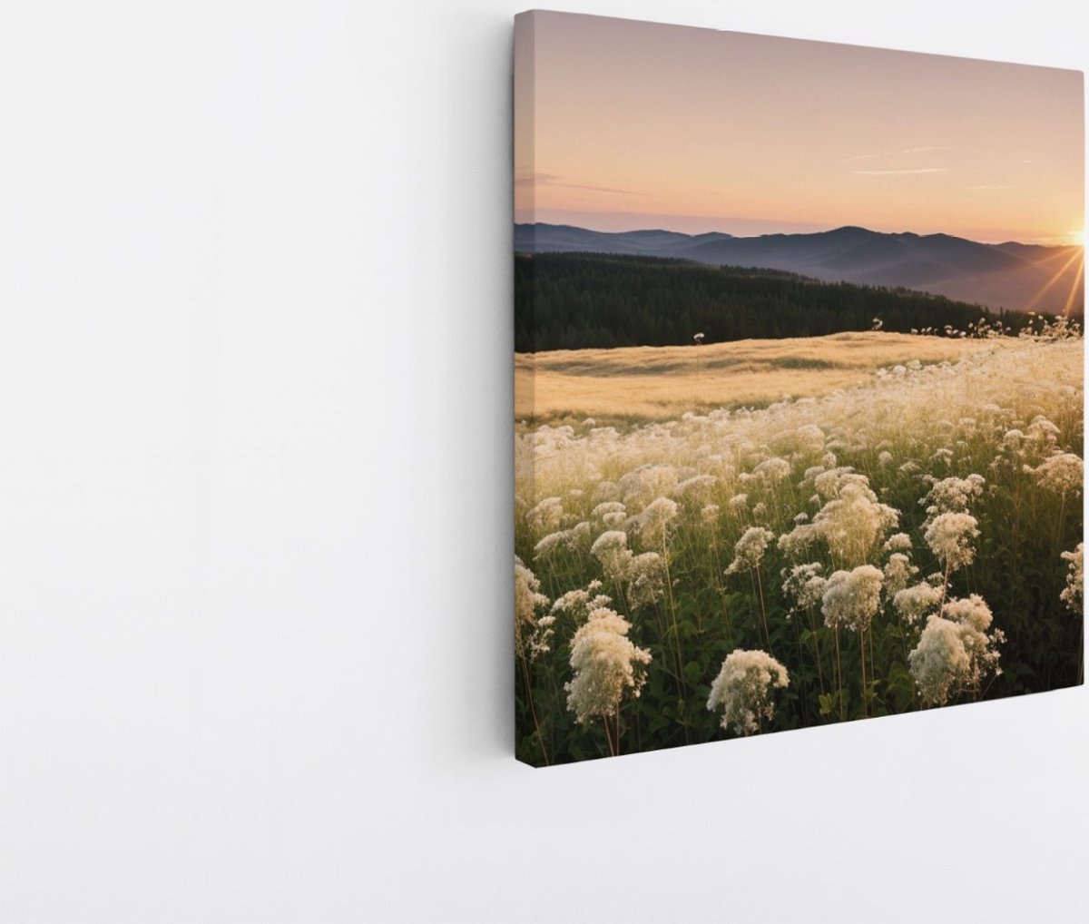 Saammp Canvas Schilderij - Landschap - Wit - Bloemenveld met zonsondergang en bergen - Natuur - 30x30 - Foto op canvas - Wanddecoratie - Muurdecoratie Woonkamer - Slaapkamer decoratie - Canvas Print Multicolor