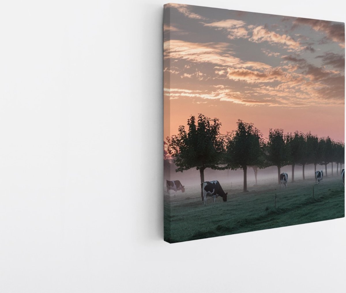 Saammp Canvas Schilderij - Koeien met mooie lucht - Natuur - nederland - 30x30 - Foto op canvas - Wanddecoratie - Muurdecoratie Woonkamer - Slaapkamer decoratie - Canvas Print Multicolor