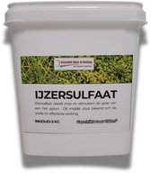 IJzer(II)sulfaat (T) Online Kopen bij