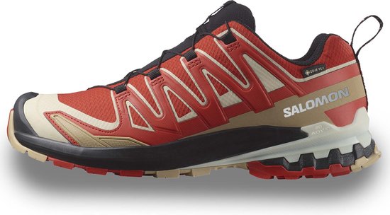 Outdoorschoenen Salomon Xa Pro 3D V9 Gtx