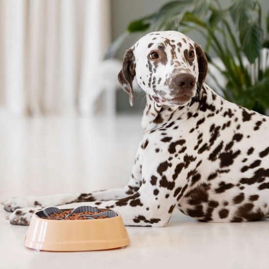 Anti schrokbak hond: Veilig en rustig eten voor uw