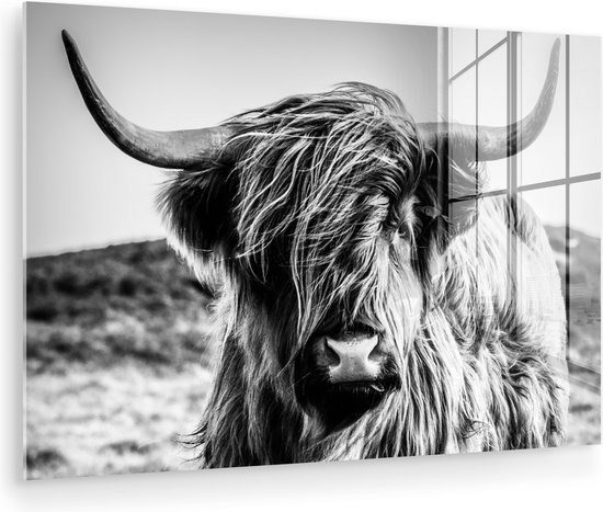 Peinture sur verre - Photo sur verre - Highlander écossais - Nature - Vache - Zwart et blanc - Verre acrylique - Décoration murale - 150x100 cm - Peinture sur verre Highlander écossais - Peinture sur verre - Décoration d'intérieur