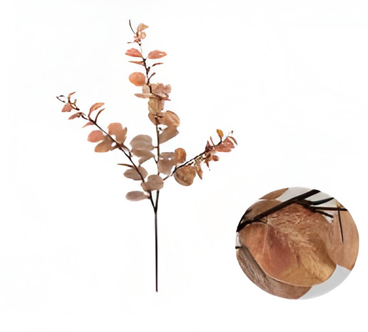 Buitengewoon de boet - Money leaf tak bruin 104 cm