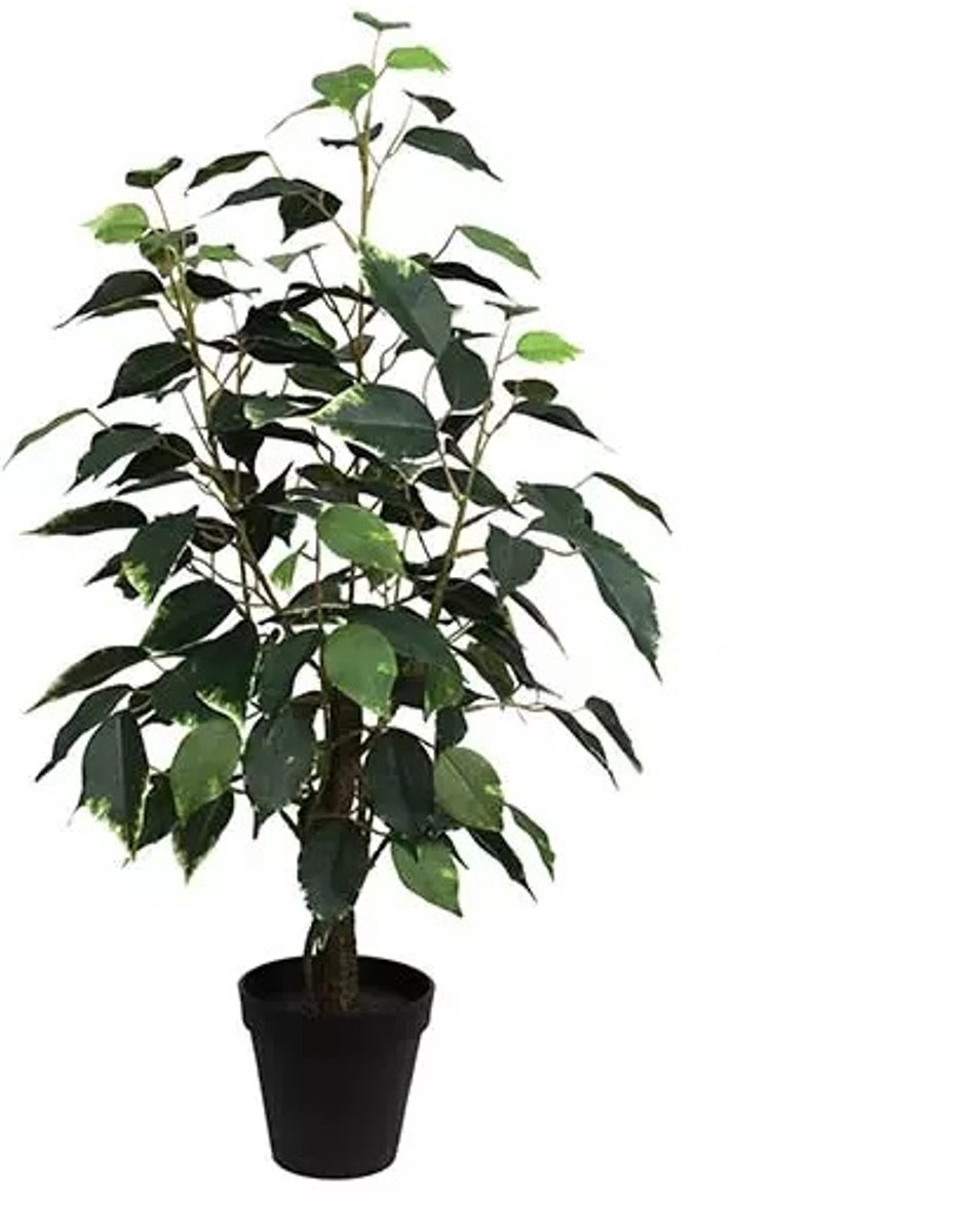 Ficus Bonsai Donkergroen 60 cm kunstplant Buitengewoon de Boet