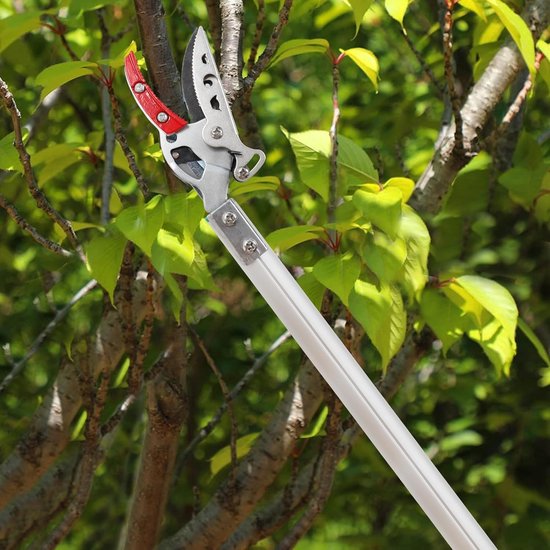 Snoeischaar - Heggenschaar - Tuingereedschap - Boomtak Snijder - Lang Bereik - Lichtgewicht en Sterk - Boom en Fruitplukker - Aluminium Handvat - voor Tuinieren - 130 cm - Zilver van GARDENA — afbeelding 2