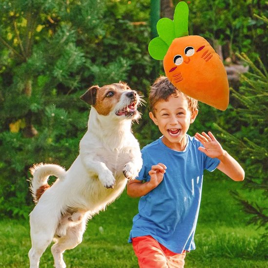 Inovra ® Interactieve Hondenspeelgoedset Van 20 Stuks Voor Elke Maat Hond Natuurlijk En Veilig