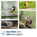 Collage van vier tuinvogels: koolmees, roodborstje, huismus, kuifmees.