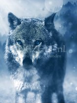 Diamond Painting Wolf 30x40cm. (Volledige bedekking - Vierkante steentjes) diamondpainting inclusief tools