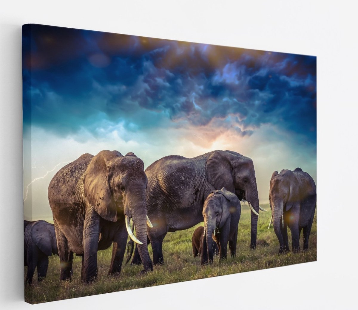 Saammp Canvas Schilderij - Olifanten familie met mooie lucht - Natuur - Dieren - 150x100 - Foto op canvas - Wanddecoratie - Muurdecoratie Woonkamer - Slaapkamer decoratie - Canvas Print Multicolor