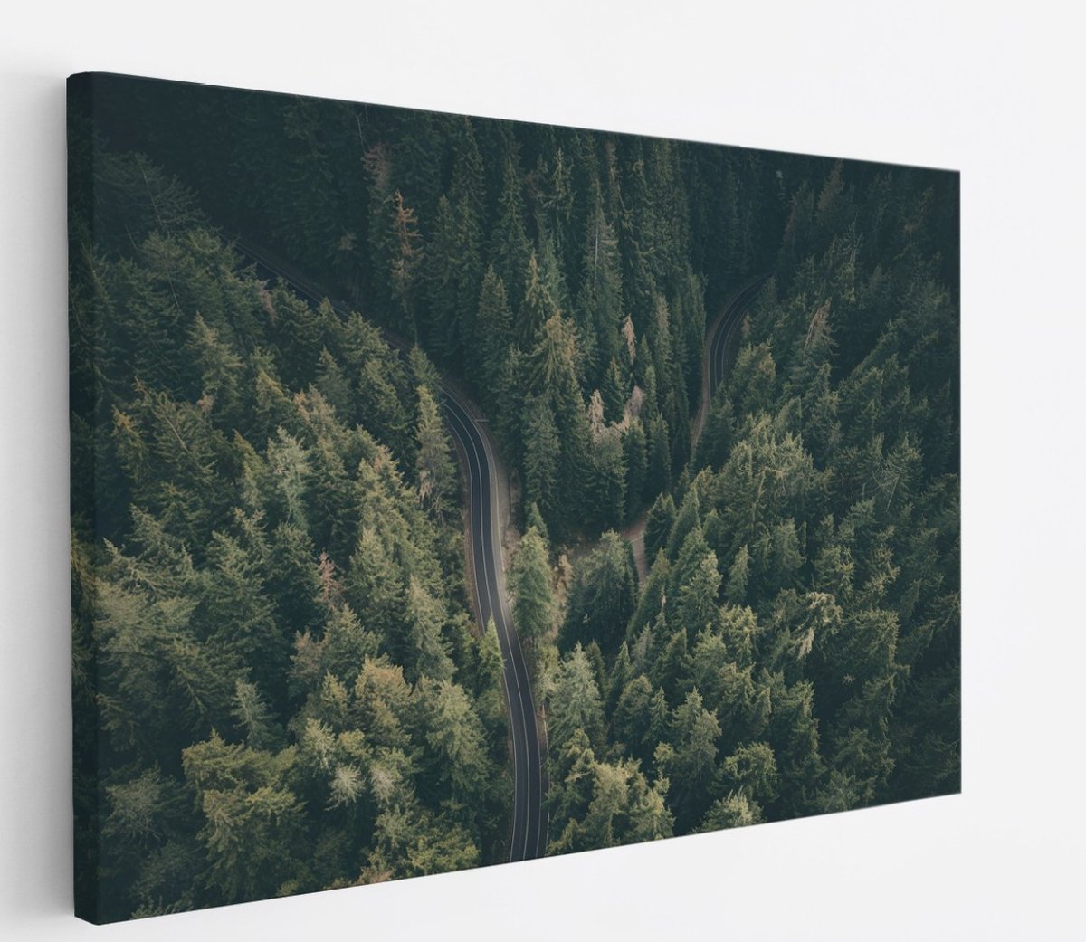 Saammp Canvas Schilderij - Weg tussen de bomen door - Natuur - 60x40 - Foto op canvas - Wanddecoratie - Muurdecoratie Woonkamer - Slaapkamer decoratie - Canvas Print Multicolor