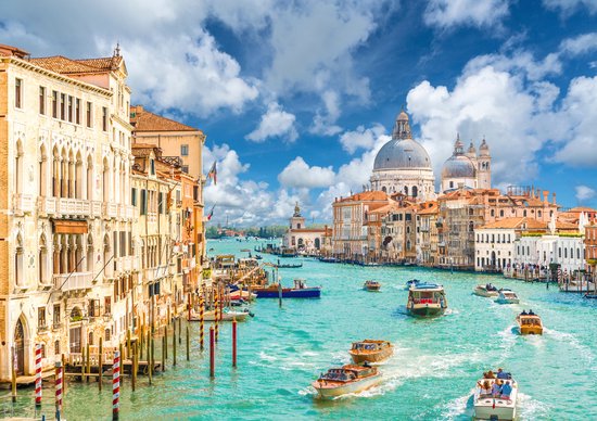 M. Puzzle Brocoli 5 x 1000 pièces Collection Ville - Puzzle Villes 5 en 1 - Poster inclus - FSC® - 68 x 48 cm