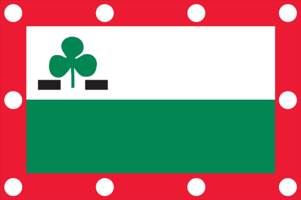 Vlag Meppel 30x45cm