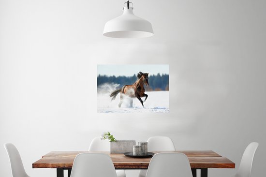 Poster Paard - Sneeuw - Winter - 90x60 cm