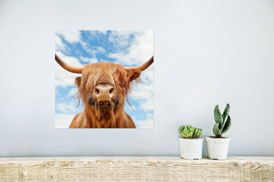 Affiche Highlander écossais - Nuage - Animaux - 30x30 cm