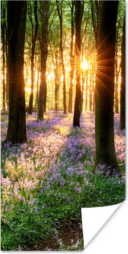 Poster - Bos - Natuur - Bloemen - Bos - Muurposter - Fotoposter - Wanddecoratie woonkamer - Muurdecoratie - Muurposters slaapkamer - 75x150 cm - Fotoposters - Kamer decoratie