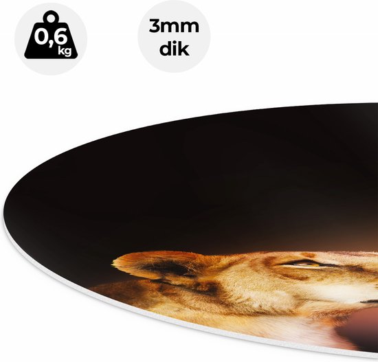 Artaza Forex Cercle Mural Lion et Lionne - Couleur - 70x70 cm - Cercle Mural - Peinture Ronde - Cercle de Décoration murale - Décoration murale