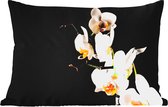 Buitenkussens - Orchidee - Bloemen - Planten - Botanisch - 60x40 cm - Weerbestendig