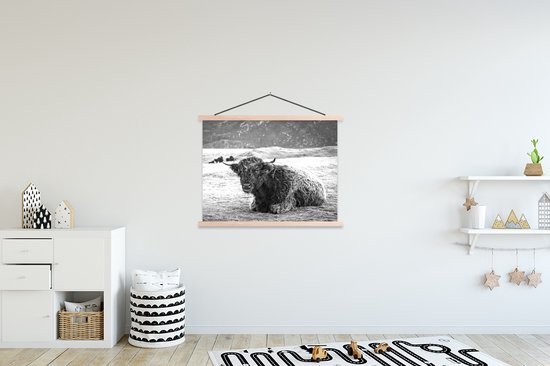 Porte-affiche avec affiche - Affiche scolaire - Highlander écossais - Berg - Animaux - 120x90 cm - lattes vierges