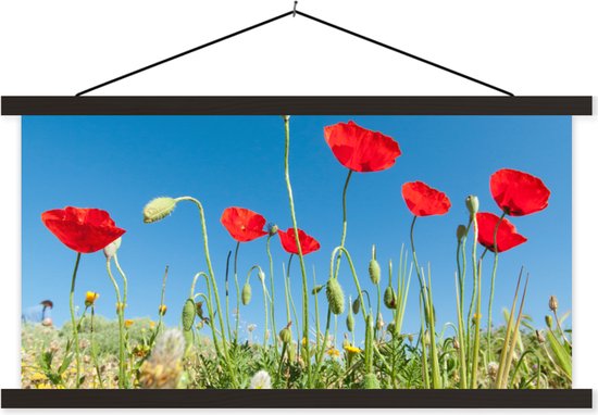 Support pour affiche avec affiche 90x45 cm - Affiche scolaire - Coquelicots rouges sous un ciel bleu vif en Turquie - Affiche textile - Lattes noires
