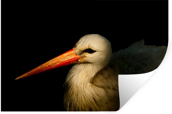 Stickers Stickers muraux - Vogel - Bec - Ressorts - 90x60 cm - Feuille adhésive