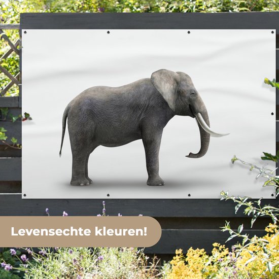 Décoration murale Eléphant sur fond blanc - 180x120 cm - Poster jardin - Toile jardin