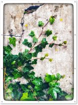 Muurdecoratie buiten Een groeiende Hedera die een ruige muur beklimt - 120x160 cm - Tuindoek - Buitenposter