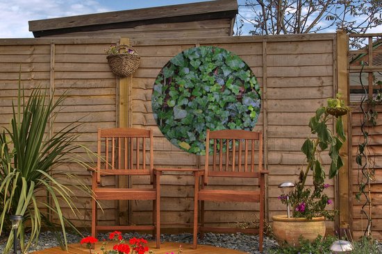 Garden Circle Un mur rempli de lierre Hedera - 60x60 cm - Affiche Ronde de Jardin - Extérieur