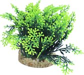 Sydeco kunststofplant Green Moss 7 cm 349720 - Merkloos