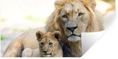 Muurstickers - Sticker Folie - Leeuw - Welp - Portret - 120x60 cm - Plakfolie - Muurstickers Kinderkamer - Zelfklevend Behang - Zelfklevend behangpapier - Stickerfolie